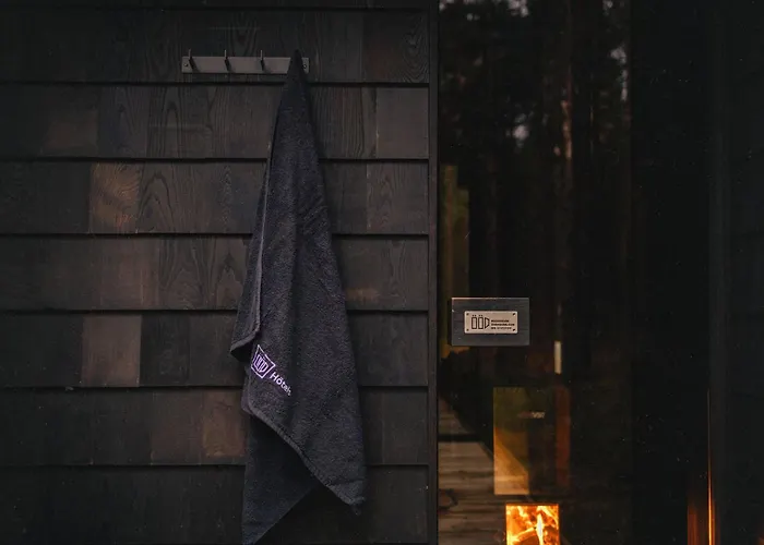 Oeoed Hoetels Rooslepa - Fika, Mysa , Skoent-With Sauna